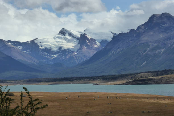 istock Patagonia, Argentina 859875046