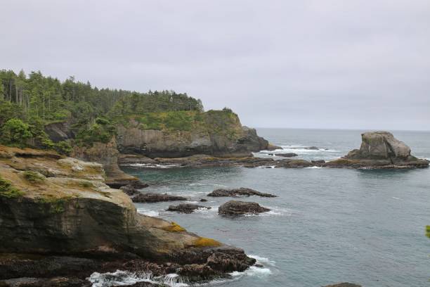istock Cape Flattery, Rock Cliffs, Most Northwestern USA Point, Washington 859875608