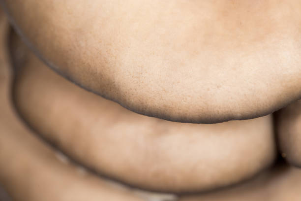 istock oyster mushrooms as a background. close-up 859883536