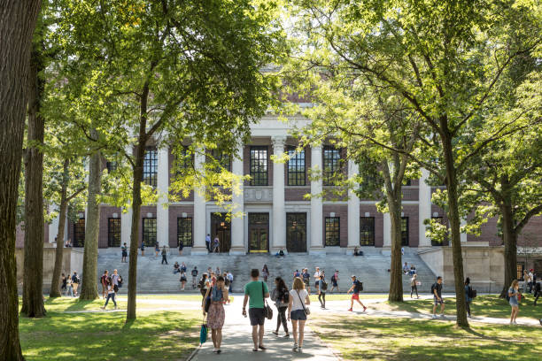 studenti e turisti riposano su sedie a sdraio ad harvard yard, il cuore antico aperto del campus dell'università di harvard - città universitaria foto e immagini stock