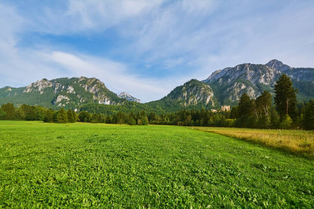 istock Rugged Hill in Hohenschwangau 859887874
