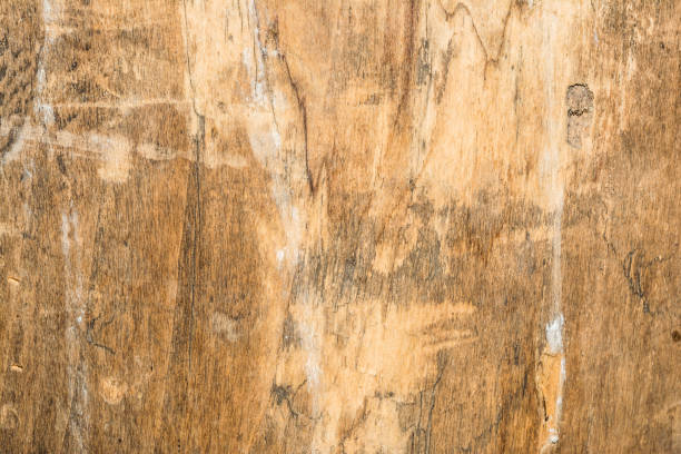 istock wood texture very old oak, the rough wood is not uniform 859889904
