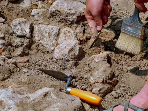 archäologen arbeiten vor ort, hand und werkzeug - archäologie fotos stock-fotos und bilder
