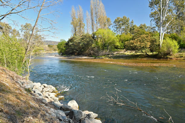 Tumut River Tumut River, clear mountain stream, NSW, Australia murray darling basin stock pictures, royalty-free photos & images