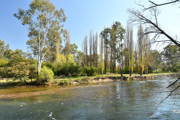 Tumut River Tumut River, clear mountain stream, NSW, Australia murray darling basin stock pictures, royalty-free photos & images
