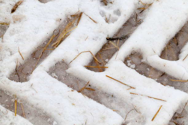 istock Traces of the car on the snow 859916568