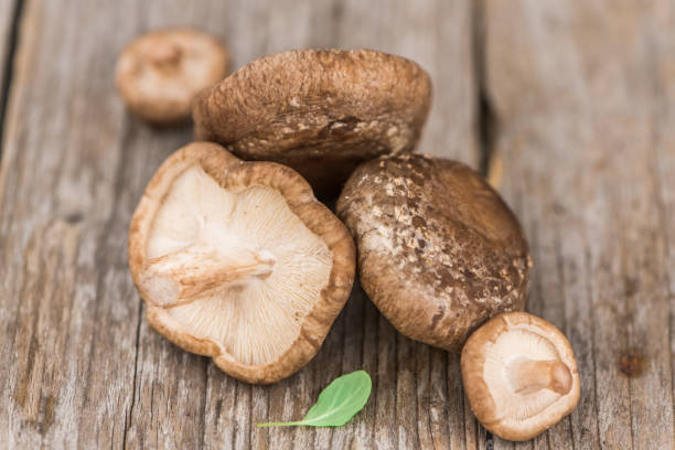 istock Portion of Raw Shiitake mushrooms, selective focus 859924484
