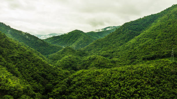 istock An aerial view of  forest and Mountain . 859925654