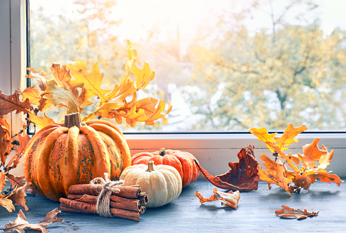 Pumpkins, cinnamon and yellow oak leaves on a table by the window on a sunset in Autumn. Autumn background, toned image.