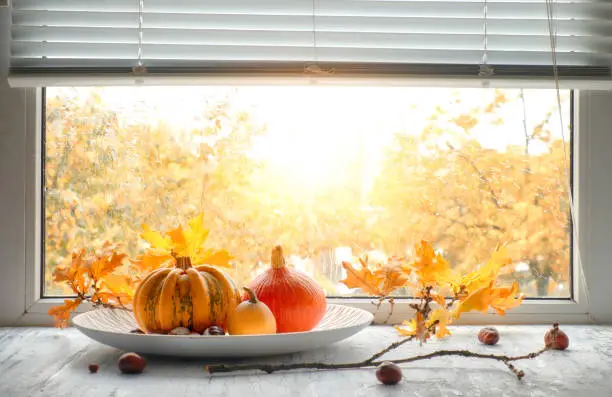 Photo of Pumpkins and yellow oak leaves by the window on a rainy day