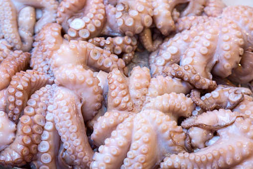 Fresh Octopuses at the fish market in Venice near famous Rialto bridge, Italy