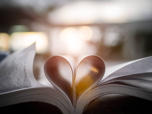 istock Heart from a book page against a beautiful sunset soft focus. 859933892