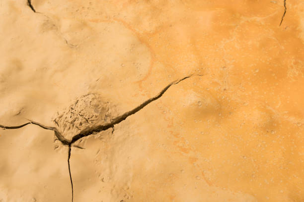 istock Dry ground cracked by the effects of natural drought. 859943196