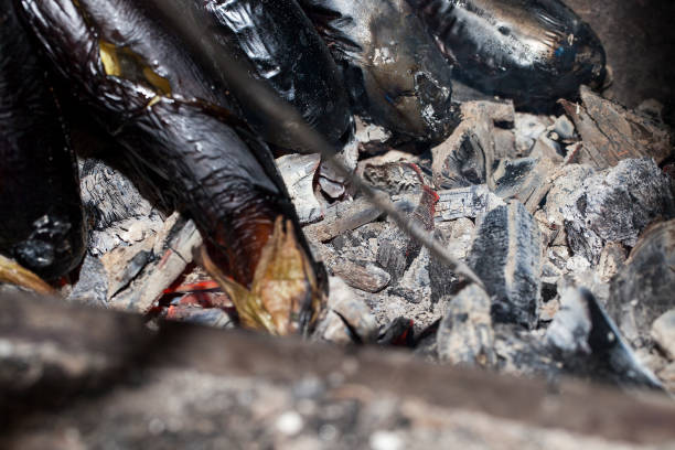 istock eggplant in the grill, close-up 859948102