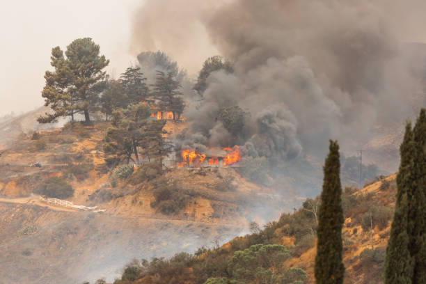 istock La Tuna wildfire in Los Angeles, CA burning a structure 859952544