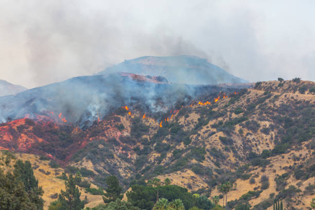 istock La Tuna wildfire in Los Angeles, CA burning a structure 859952634