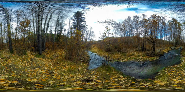 istock 360 Photo Fall Outdoor Wilderness 859958936