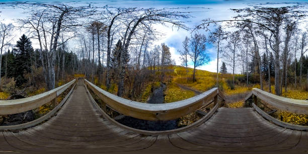 istock 360 Photo Fall Outdoor Wilderness 859958972