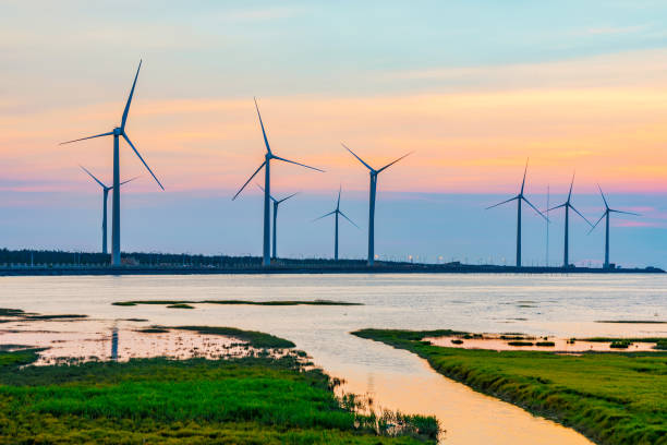 istock Gaomei wetlands wind turbines 859962590