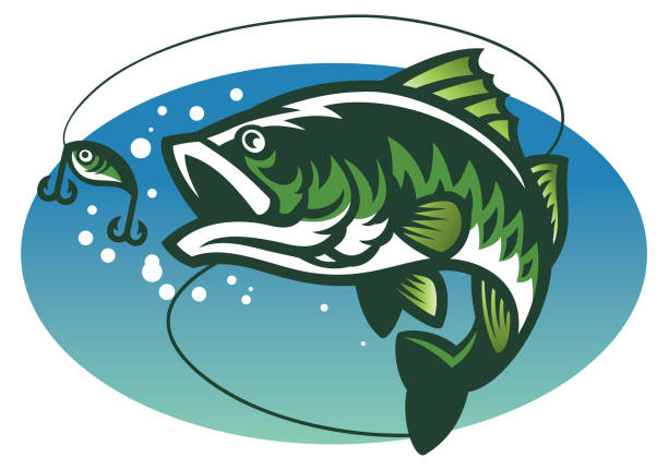 ilustraciones, imágenes clip art, dibujos animados e iconos de stock de lobina pez mascota - bass