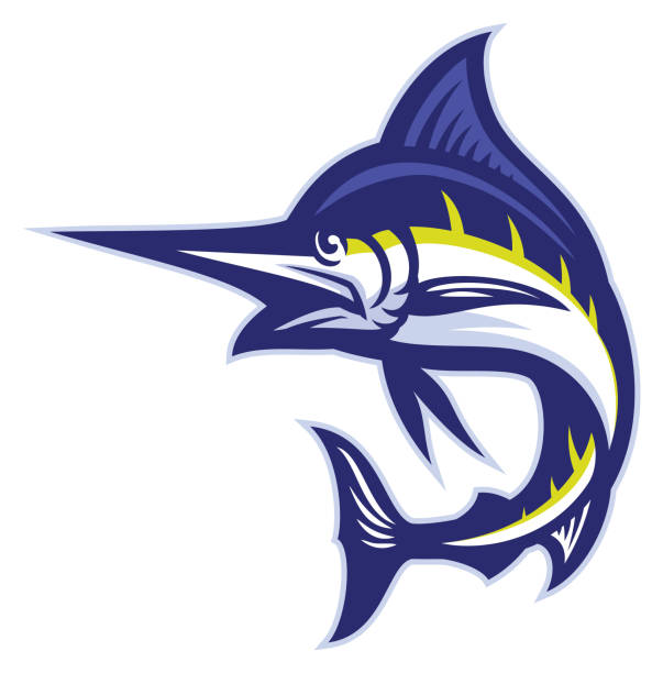 ilustrações de stock, clip art, desenhos animados e ícones de marlin fish mascot - marlin sailfish nature saltwater fish