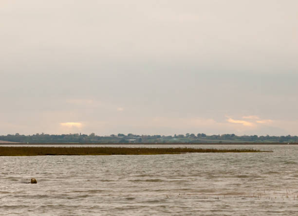 istock landscape river stream scene outside overcast water 859968184