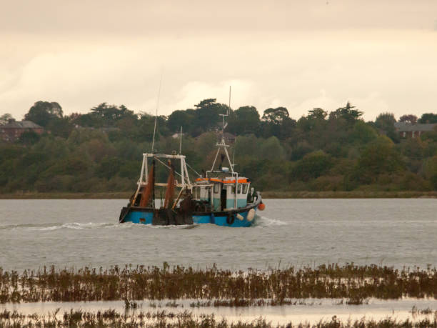 川に沿って旅行業界漁船曇り秋 - cloud sailboat fishing boat fishing industry ストックフォトと画像