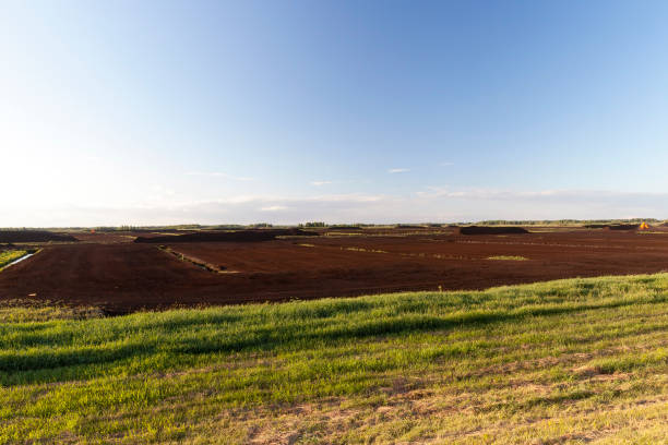 istock production of peat landscape 859971042