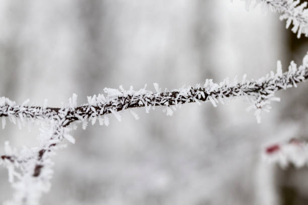 istock Snow drifts in winter 859972328