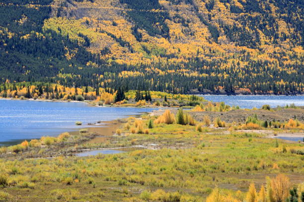 istock Autumn: Golden trees around twin lakes, Colorado 859975684