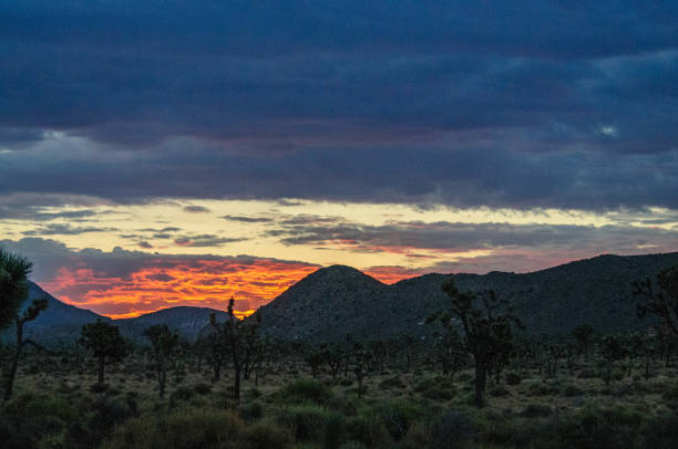 istock Sunrise over Joshua Tree National Park 859978504