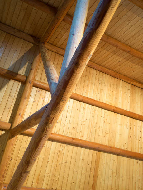 istock Wooden roof trusses 859979986