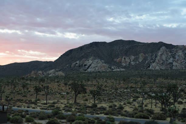 istock Sunrise over Joshua Tree National Park 859980218