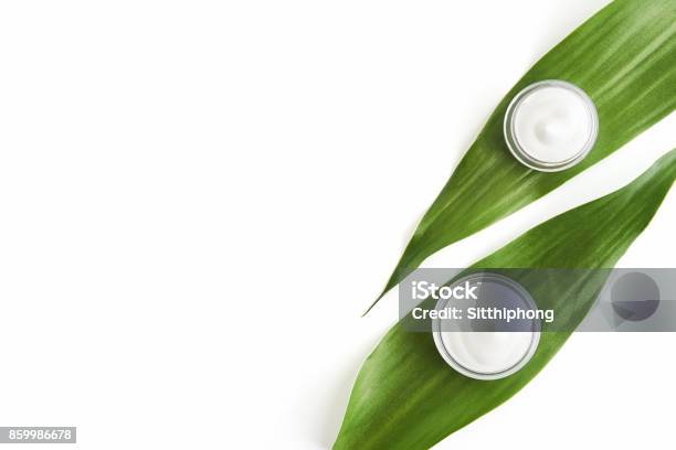 White Cream Bottle Placed Blank Label Package For Mock Up On A Green Foliage Background The Concept Of Natural Beauty Products Stock Photo - Download Image Now