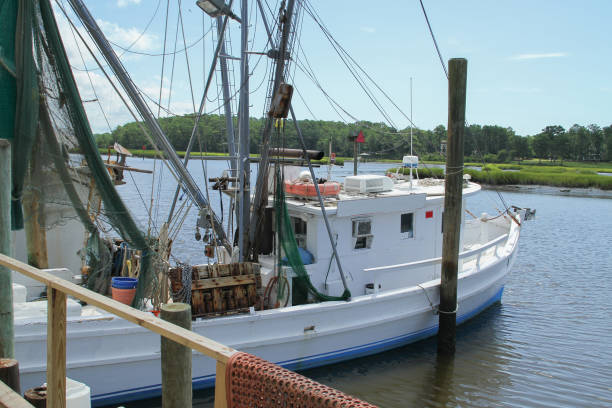 istock LOCAL FISHING BOAT READY TO GO 859987018