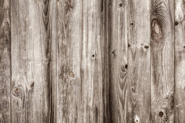 istock Vintage cracked, gray wooden surface 859988432