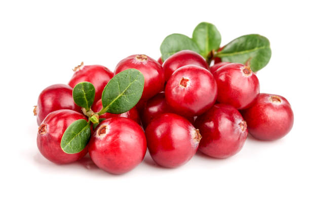 istock Cranberry with leaf isolated on white background closeup macro 859991988