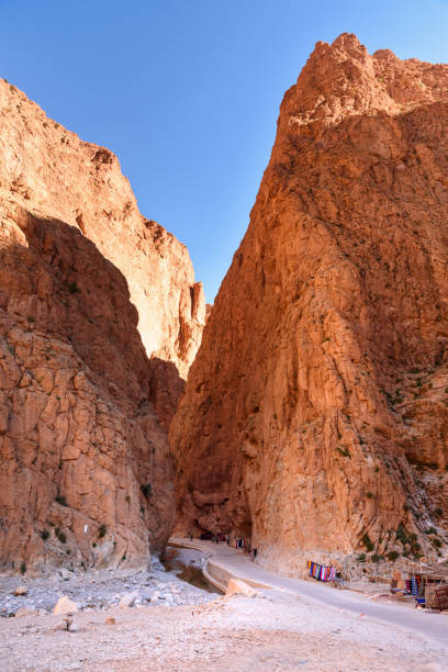 istock Todgha Gorge in Morocco 859995966