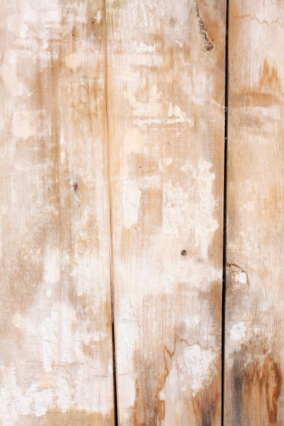 old wood texture background - harwood floor imagens e fotografias de stock