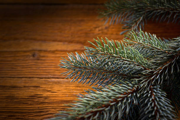 istock Christmas fir tree with decoration on wooden board 860007712