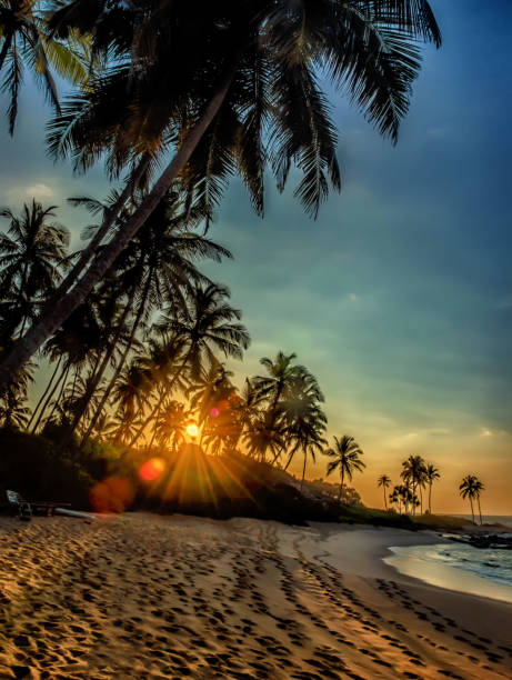 istock Sunset over the coconut palms 860008972