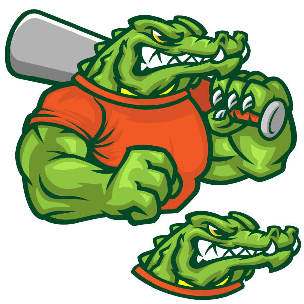 illustrations, cliparts, dessins animés et icônes de pack de base-ball gator - alligator white background crocodile reptile