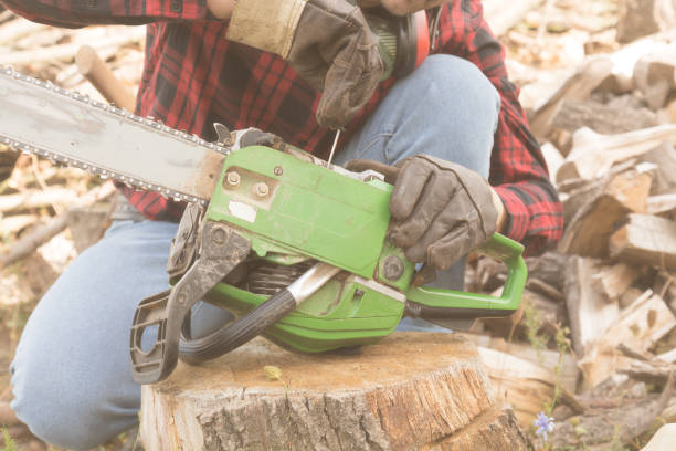 istock Lumberjack fixing the chainsaw with cut woods around him. 860012054