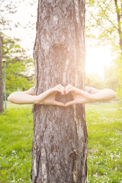 istock Heart - shape for the nature and environment. 860012224