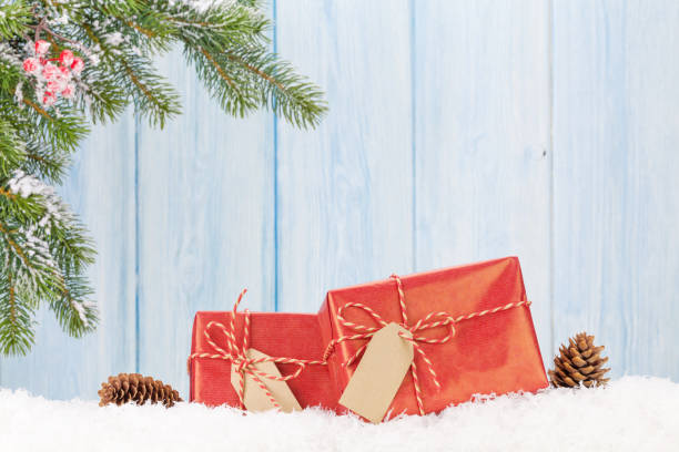 istock Christmas gift box and fir tree branch in snow 860020724
