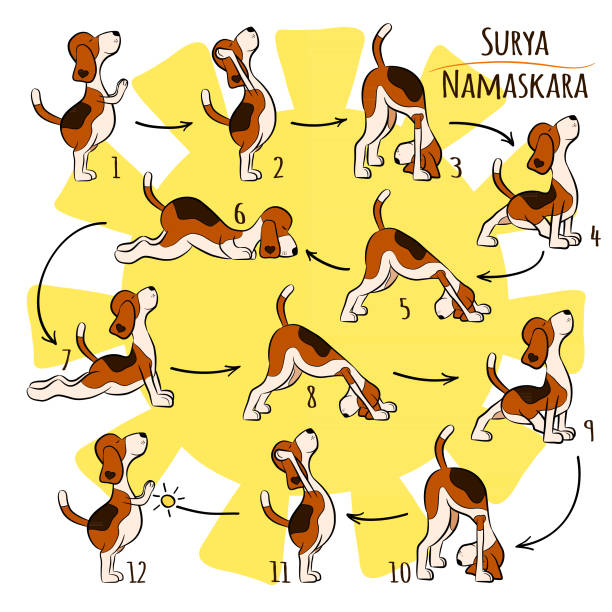 ilustrações, clipart, desenhos animados e ícones de cão engraçado dos desenhos animados, fazendo a posição de ioga de surya namaskara - yoga lotus zen like buddhism