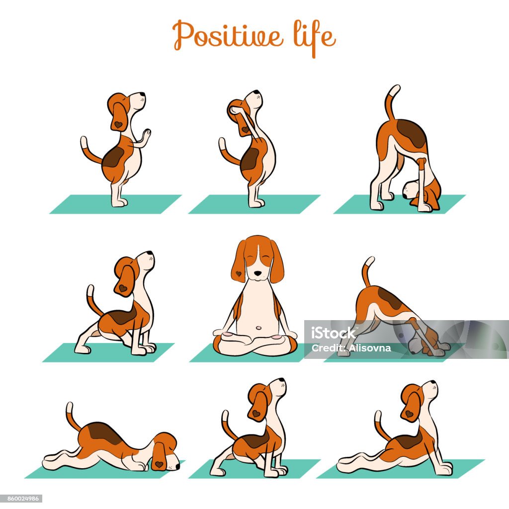 Cartoon Funny Dog Doing Yoga Position Of Surya Namaskara Stock Illustration  - Download Image Now - iStock