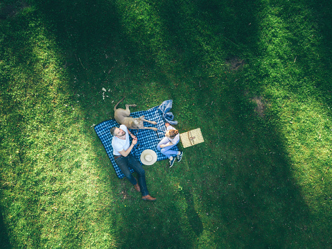 upper view of a happy father with teenage daughter and dog lying on a blanket in a park