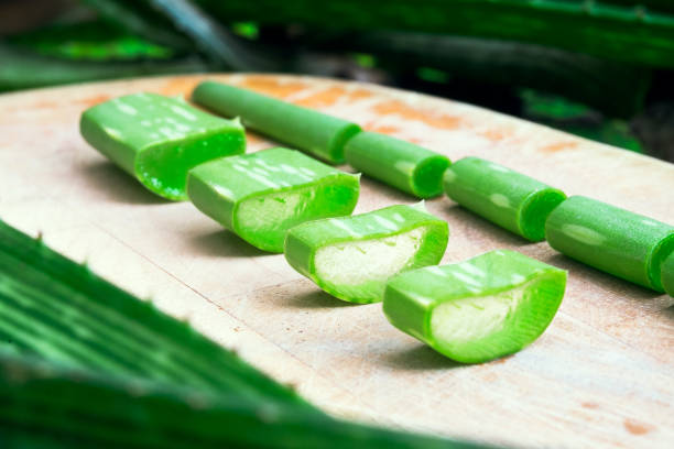 istock Cutted Aloe Vera placed on wooden board 860037170