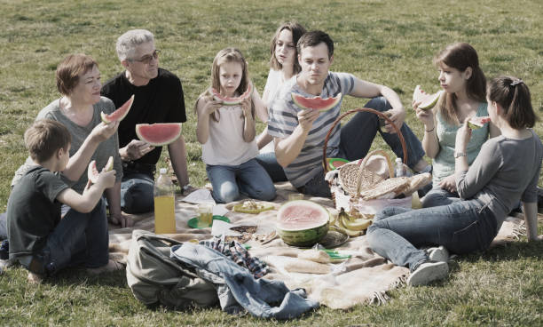 istock Cheerful  family  on picnic 860038870